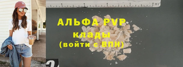 гашиш Богданович