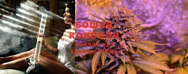 гашиш Богданович