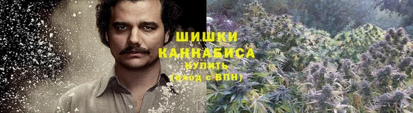 a pvp Богородицк